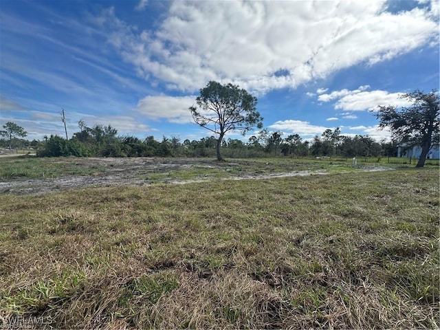 view of yard with a rural view