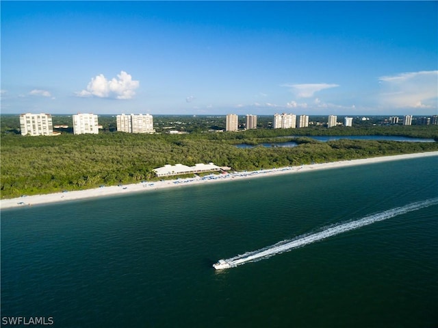 aerial view with a water view and a view of the beach