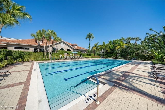 view of pool featuring a patio