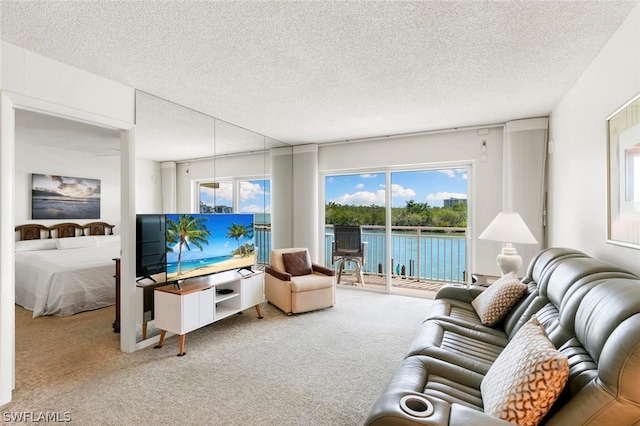 carpeted living room featuring a healthy amount of sunlight and a textured ceiling