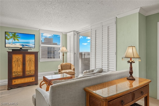 carpeted living room with a textured ceiling and crown molding