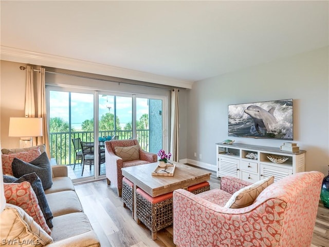 living room featuring light hardwood / wood-style flooring