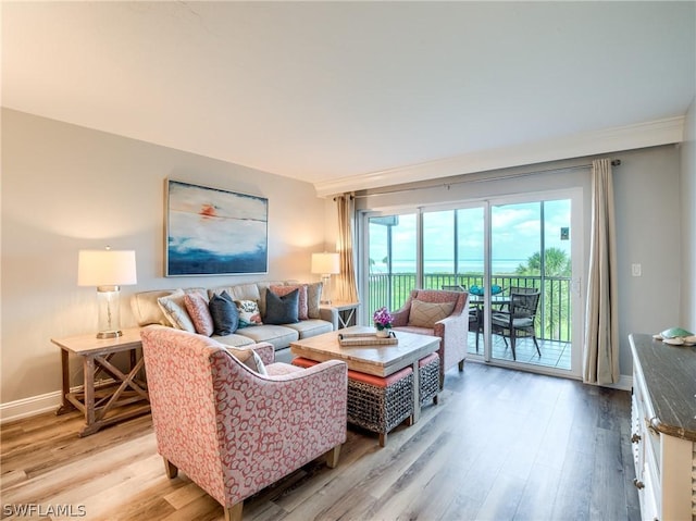 living room with light hardwood / wood-style floors