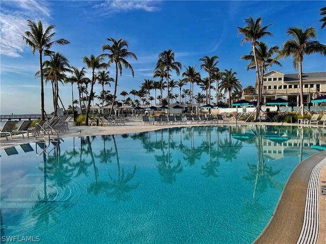 view of swimming pool