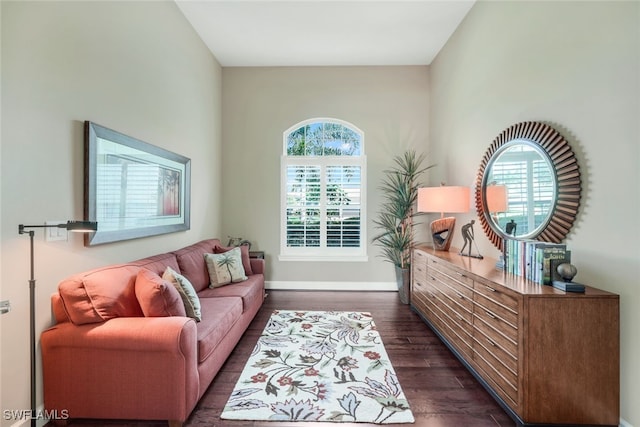 living area with baseboards and dark wood-type flooring