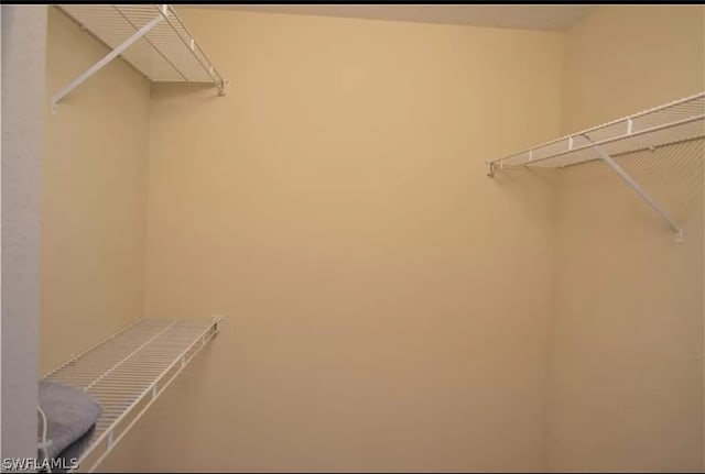 view of walk in closet