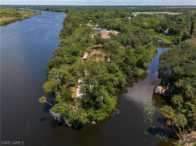 birds eye view of property featuring a water view and a wooded view