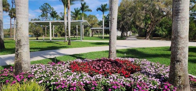 view of property's community featuring a lawn