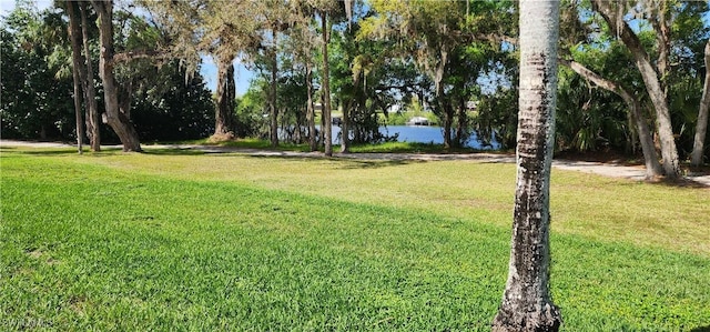 view of yard featuring a water view