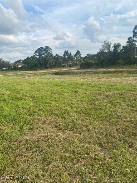 view of yard with a rural view