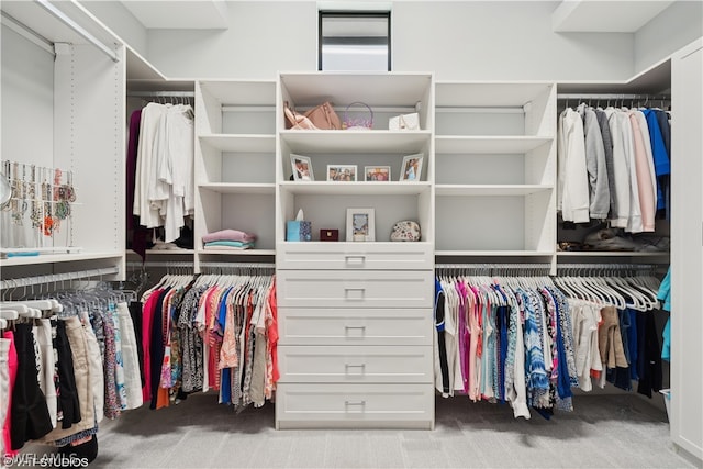 spacious closet with light colored carpet