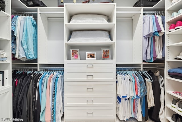 view of spacious closet