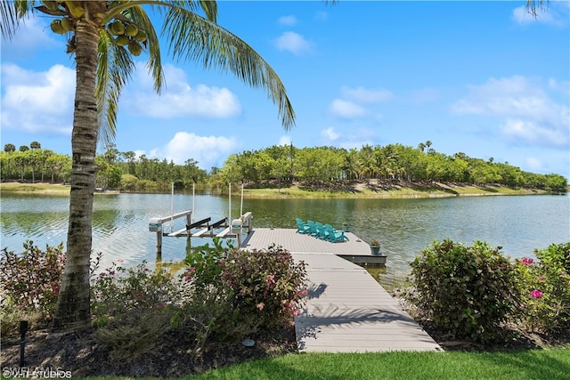 dock area with a water view