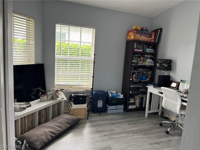 home office featuring hardwood / wood-style flooring and plenty of natural light