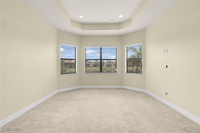 11643 Meadowrun Cir, Fort Myers, FL 33913 - spare room with light colored carpet, baseboards, and recessed lighting