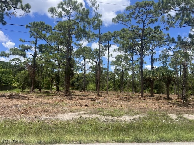 911-913 Williams Ave, Lehigh Acres FL, 33972 land for sale