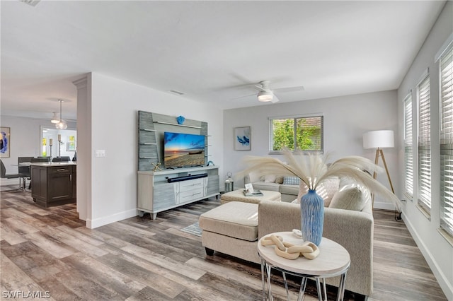 living room with wood-type flooring and ceiling fan