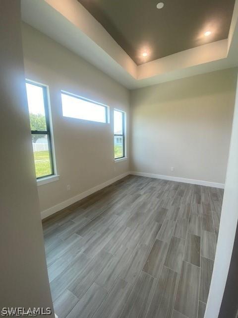 empty room featuring a tray ceiling, hardwood / wood-style flooring, and a healthy amount of sunlight