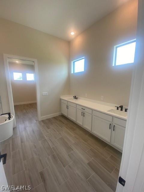 bathroom featuring hardwood / wood-style floors and vanity