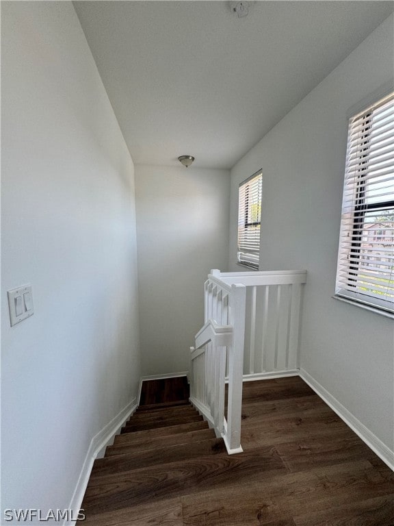 stairs featuring dark hardwood / wood-style floors