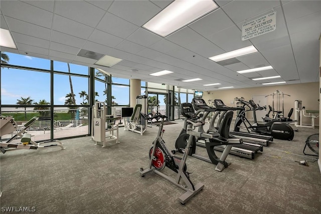 gym featuring floor to ceiling windows and carpet floors