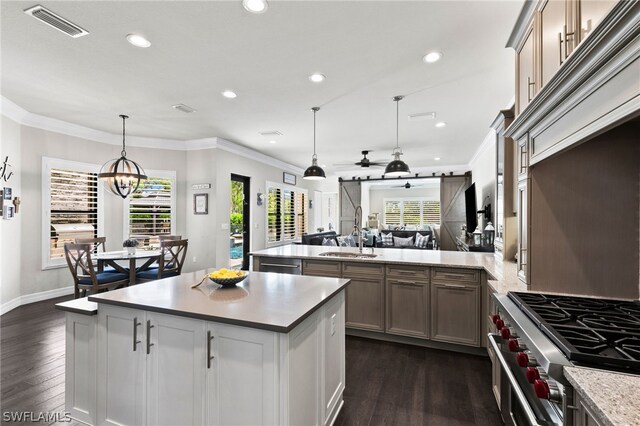 kitchen featuring sink, hanging light fixtures, plenty of natural light, stainless steel appliances, and a barn door