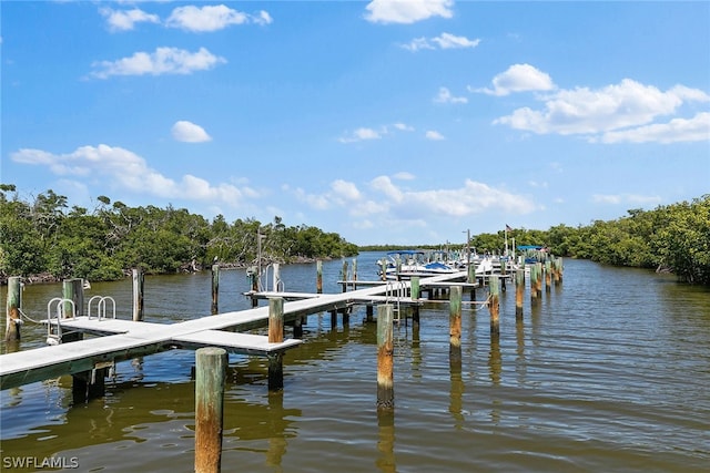 dock area with a water view