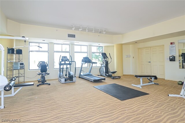 workout area featuring track lighting and carpet flooring