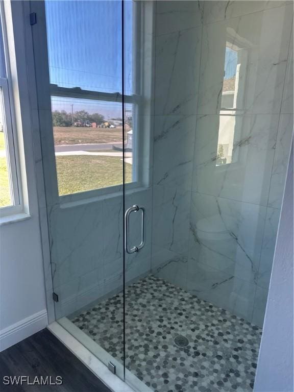 bathroom with a shower with door and hardwood / wood-style floors