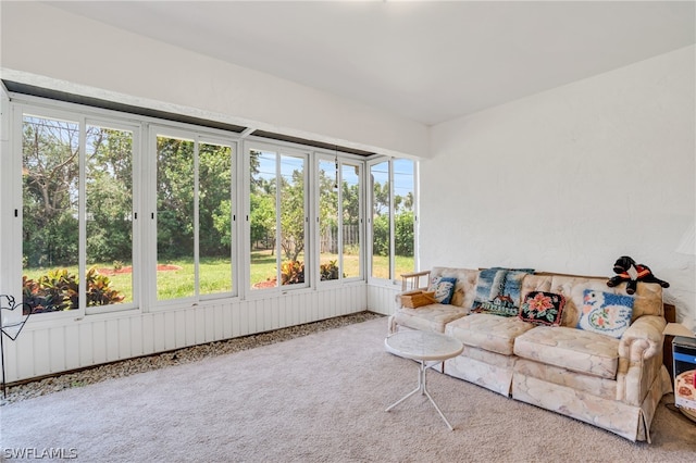 living room featuring carpet flooring