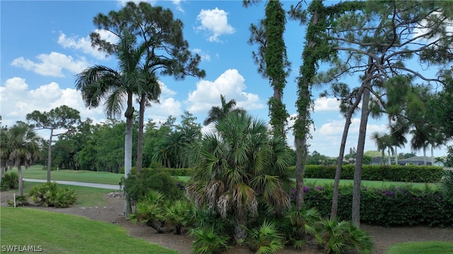 surrounding community featuring a yard