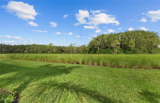 view of local wilderness with a wooded view