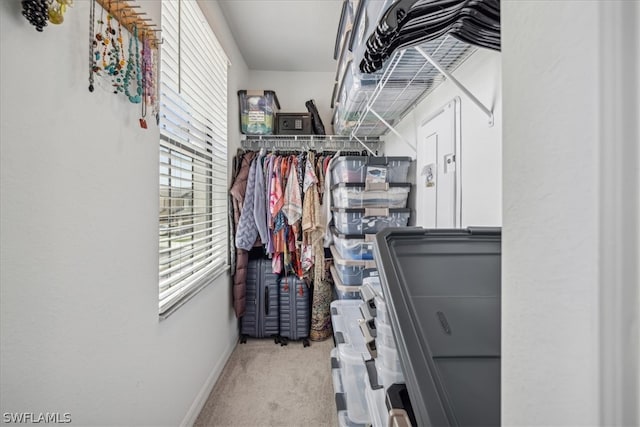 spacious closet with light colored carpet