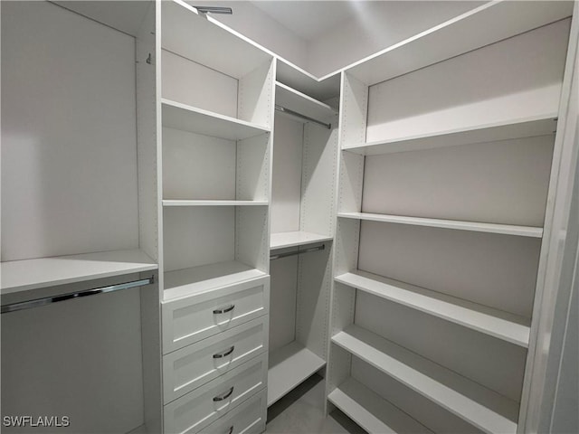 view of spacious closet