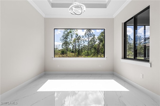 spare room featuring a tray ceiling and ornamental molding