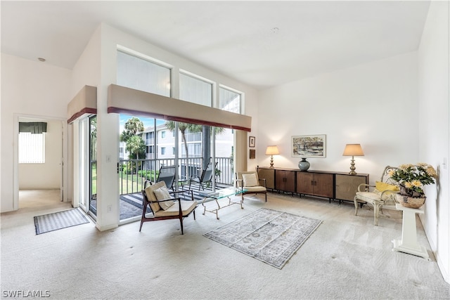 interior space featuring carpet and a high ceiling