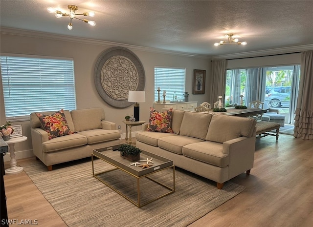 living room featuring ornamental molding, an inviting chandelier, a textured ceiling, and light hardwood / wood-style floors