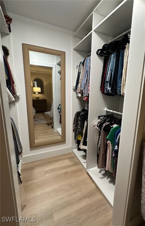 spacious closet with wood-type flooring