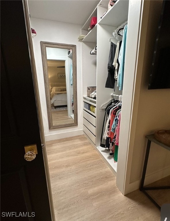 walk in closet featuring light hardwood / wood-style floors