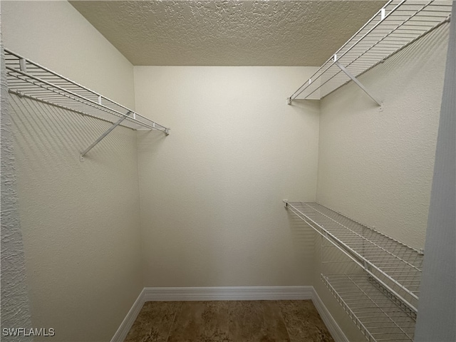 spacious closet with hardwood / wood-style floors