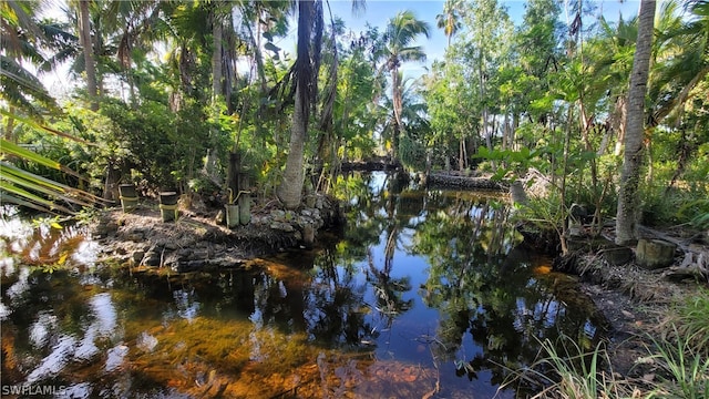 water view