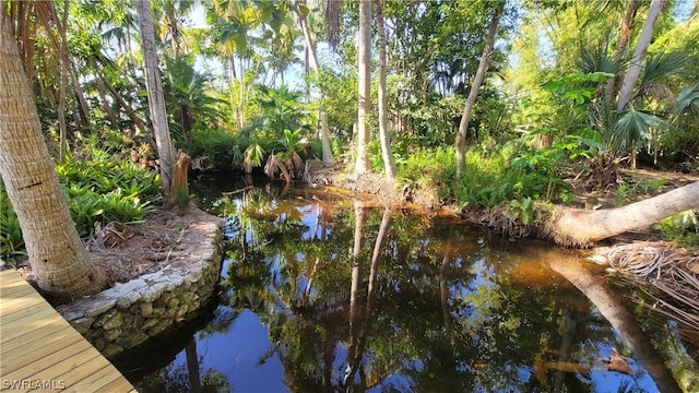 view of dock area