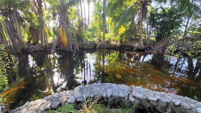 water view