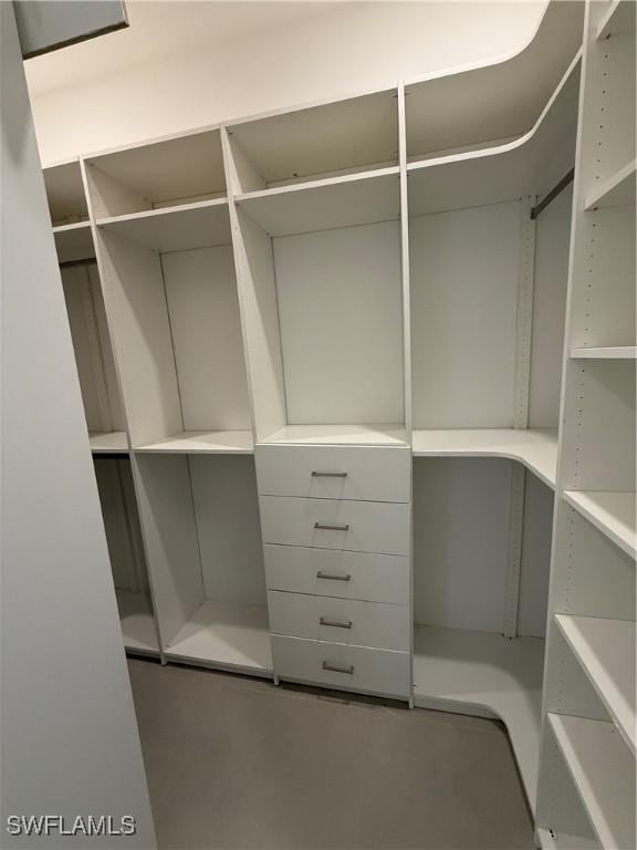 view of spacious closet