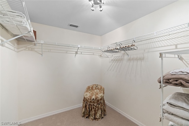 spacious closet with carpet floors