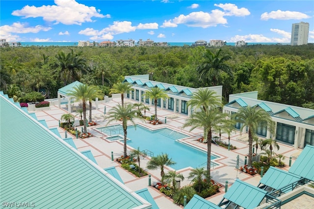 view of swimming pool