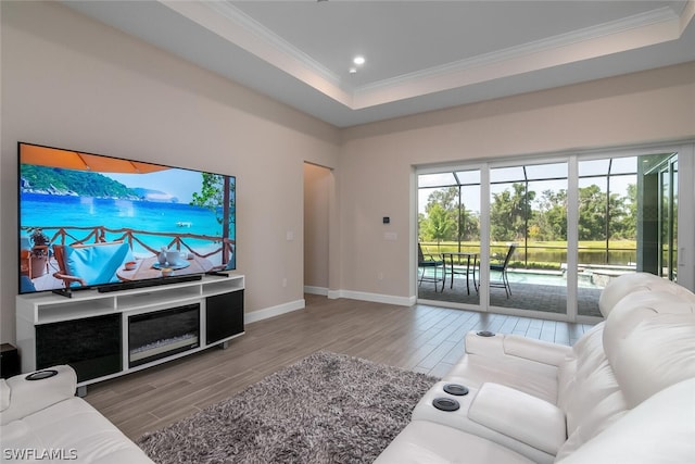 living room with ornamental molding and a tray ceiling