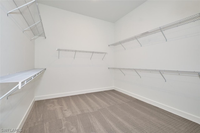 spacious closet featuring carpet flooring