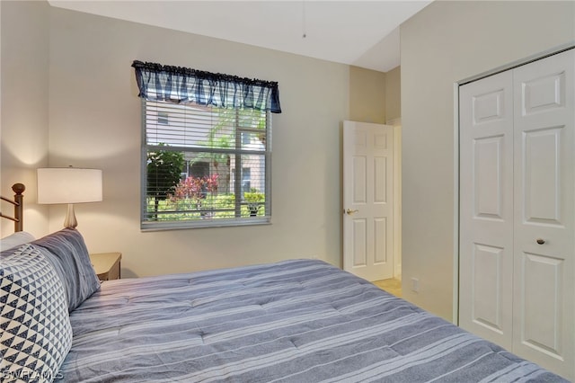 bedroom featuring carpet and a closet