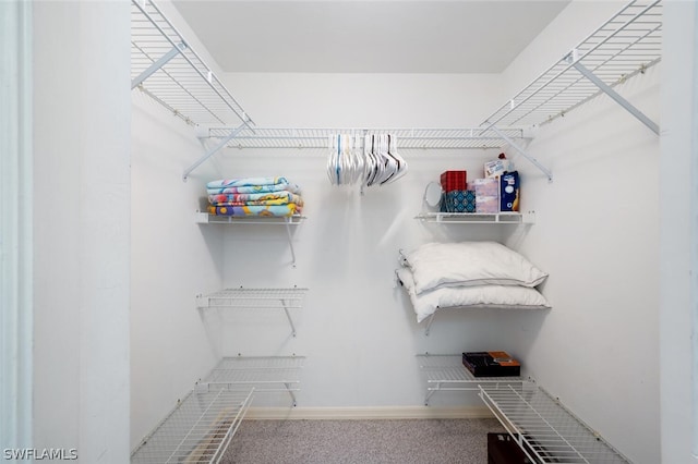 spacious closet with carpet floors